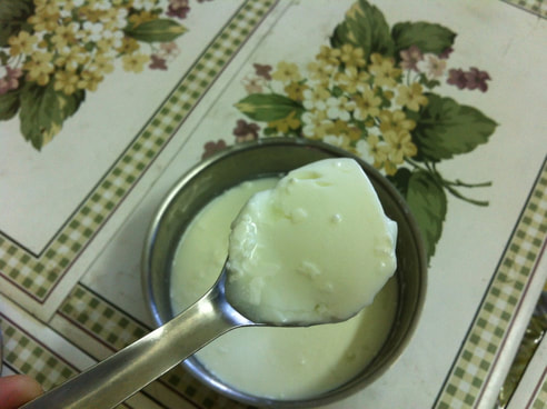 Homemade Dahi (Yogurt)