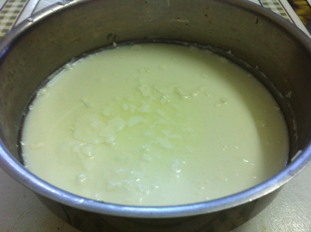 how to make dahi (yogurt) at home